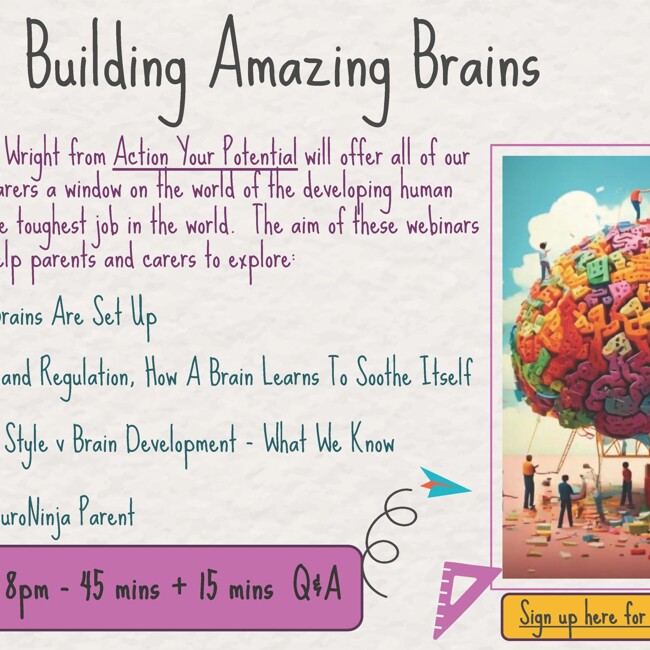 Building Amazing Brains