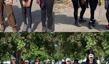 295FFC37 A8C7 41CD 804B A07EDAAB9D1B