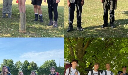 85561046 6688 49C0 AAB0 66AA6E9B544F