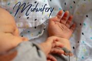 Midwifery