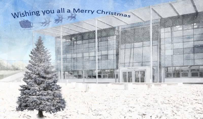 Wish you a merry christmas